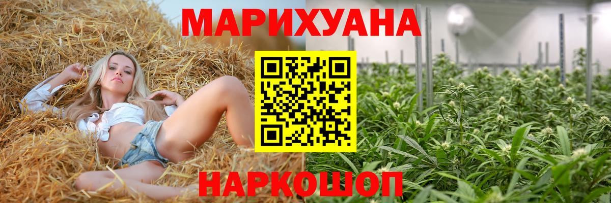 Каннабис сатива  Канабис план  Конопля Amnesia  Вход с VPN  Владимир  МАРИХУАНА White Widow 